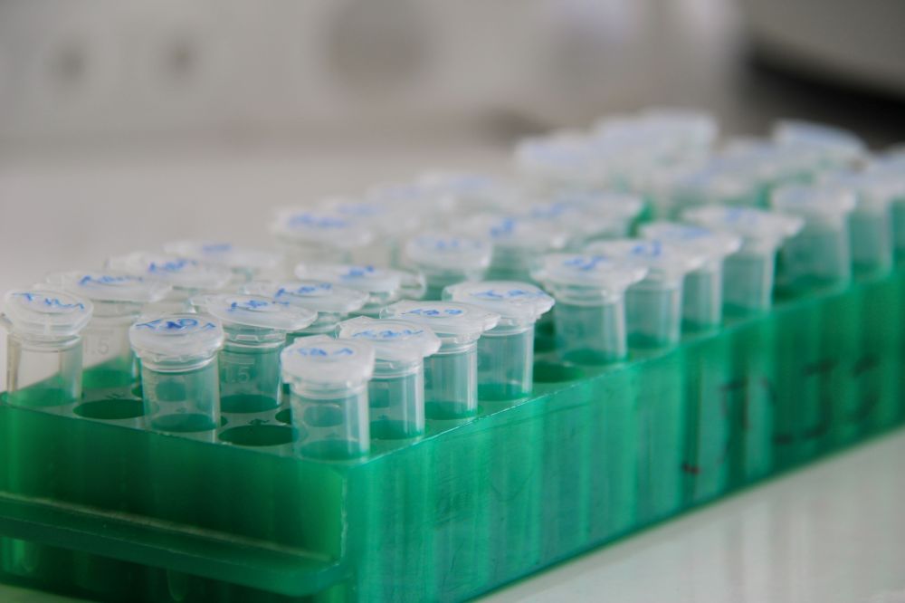 Framtid & Innovation