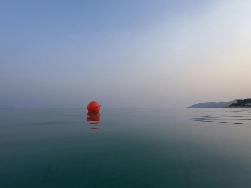 Framtid & Innovation