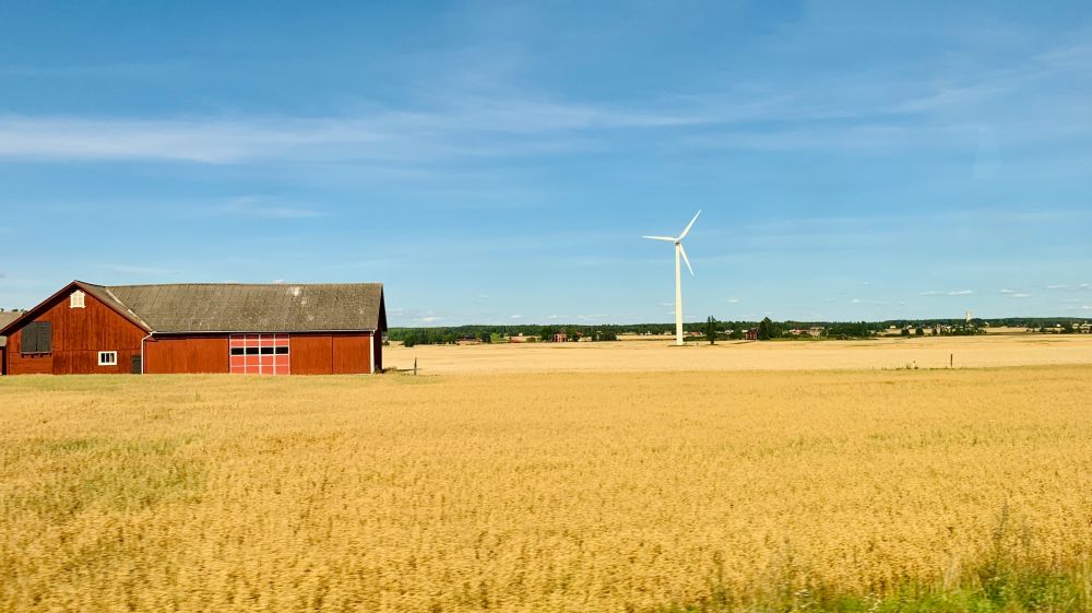 Branschspecifika trender