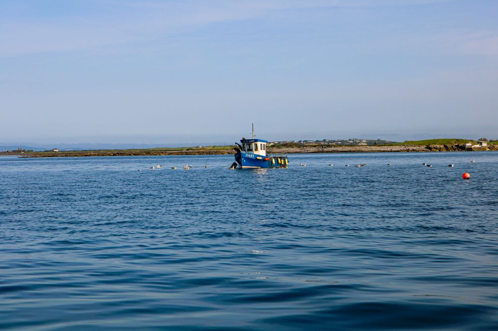 Tunsafari Helsingør