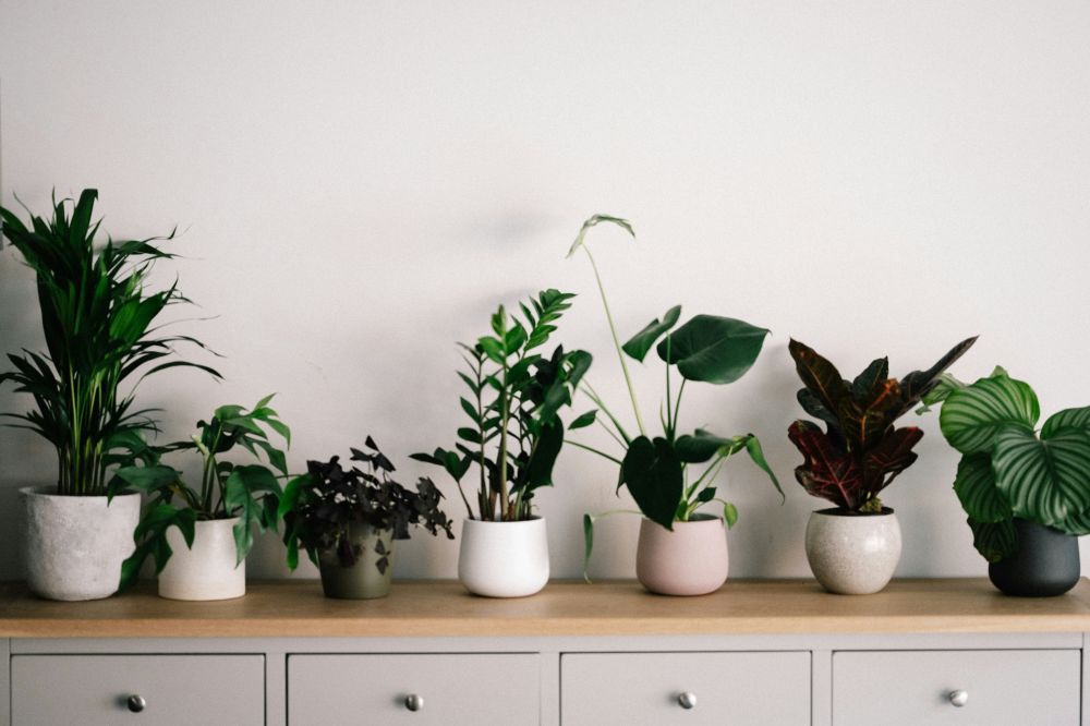 DIY & Makerprojekt