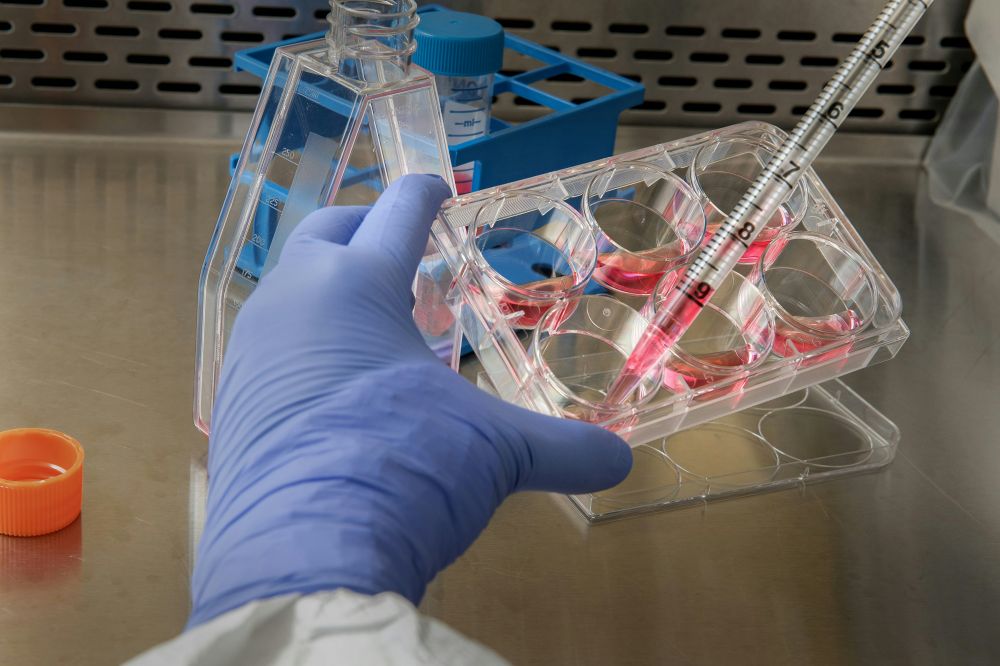 Salmonella provtagning