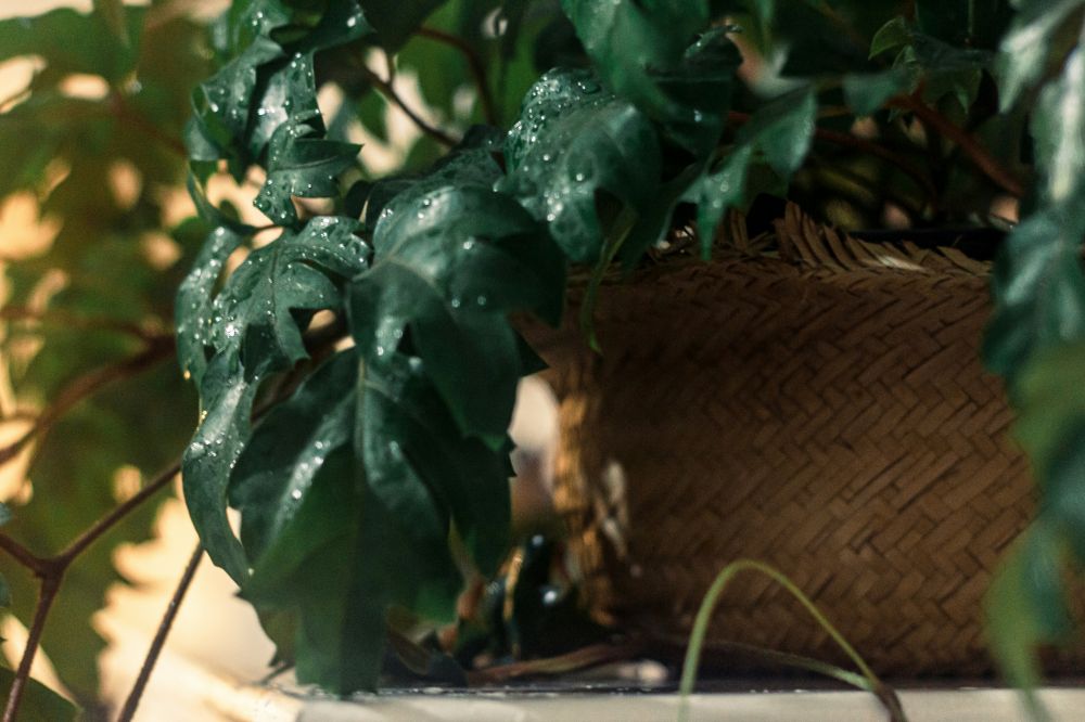 DIY & Makerprojekt