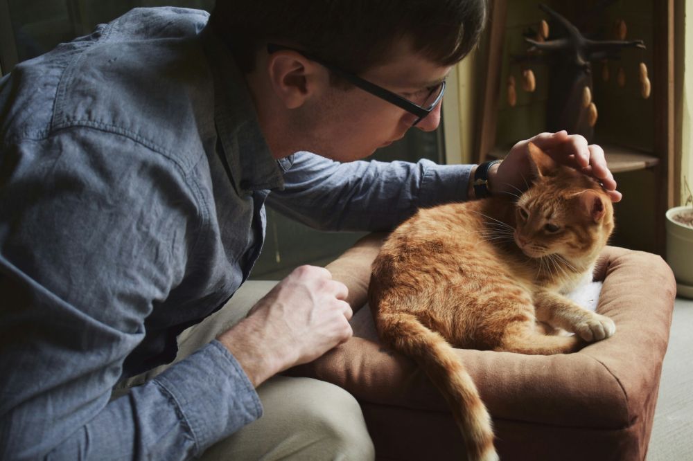 affärssystem veterinär