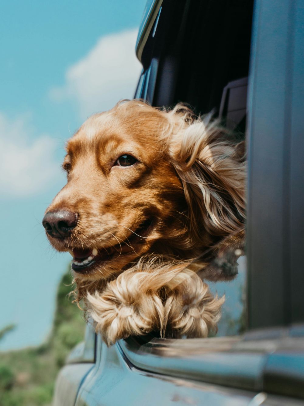 Resor & Roadtrips
