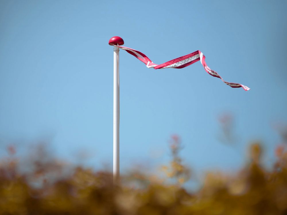 Flagstang