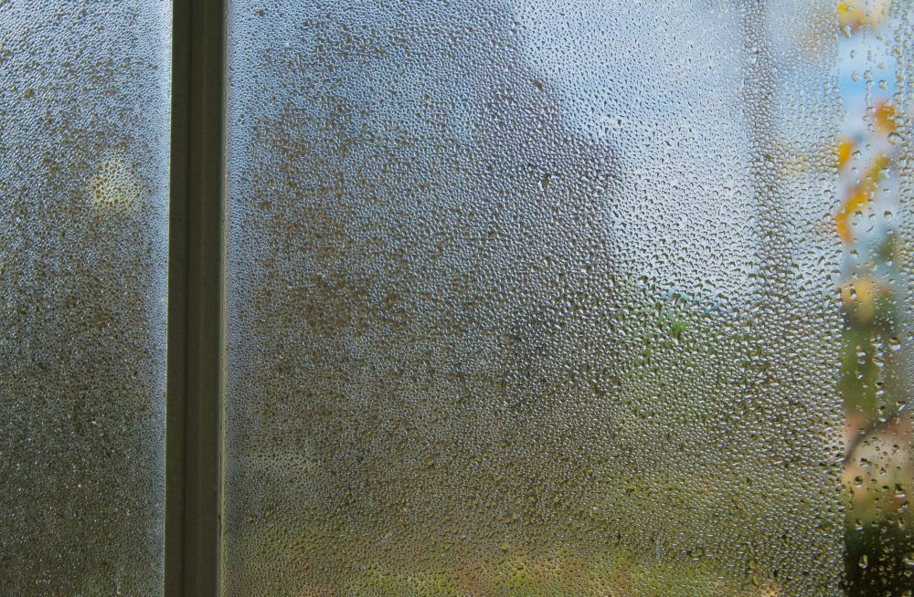 vinduespudser Stenløse