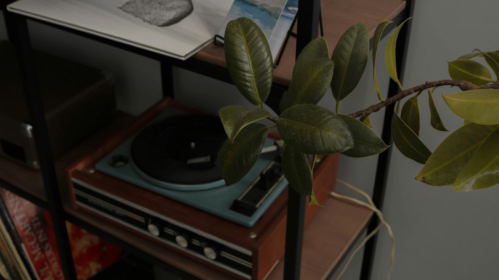 DIY & Makerprojekt