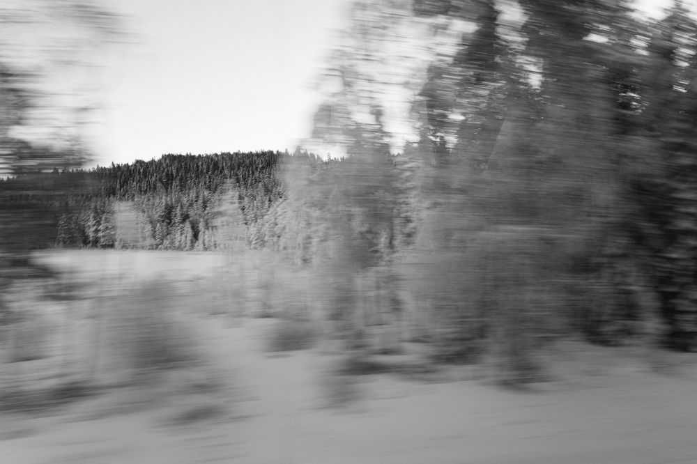 S&auml;songsf&ouml;rberedelser & Klimatanpassning