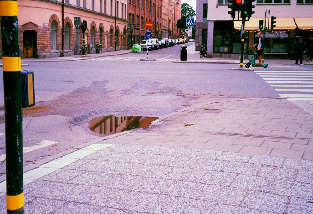 D&auml;ck, fj&auml;dring & v&auml;xell&aring;da