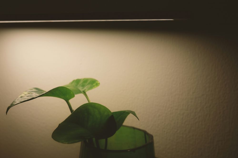 Smarta Hem & IoT