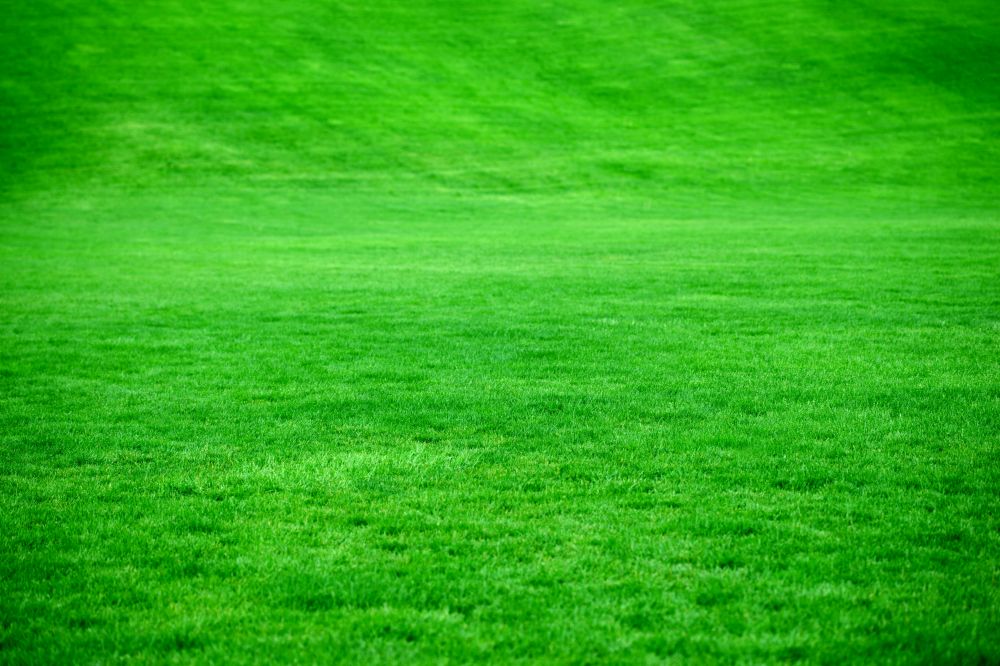 gräsklippning i Gotland