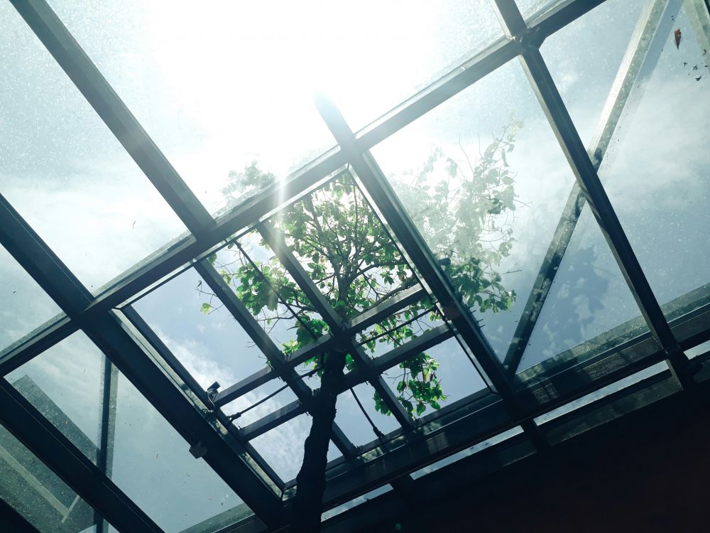 Solfilm fastighet