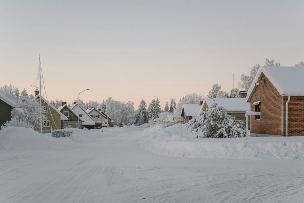 S&auml;songsf&ouml;rberedelser & Klimatanpassning