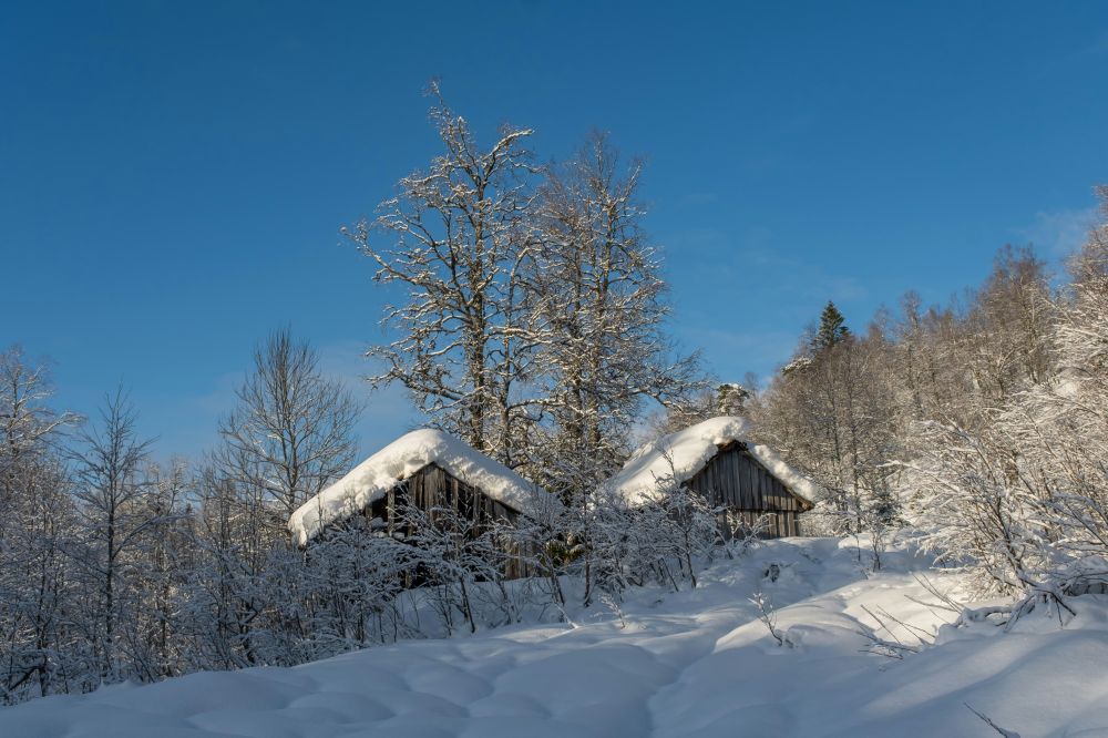 hytteutleie