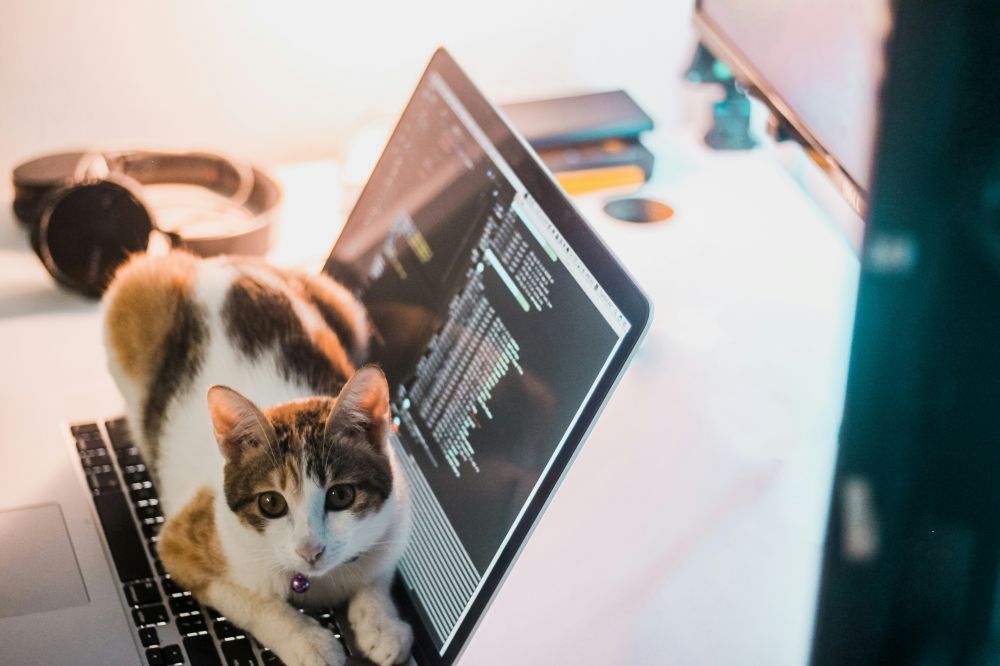 Cybersäkerhet & Datasäkerhet
