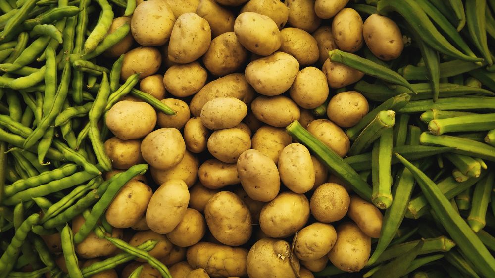 potato growers