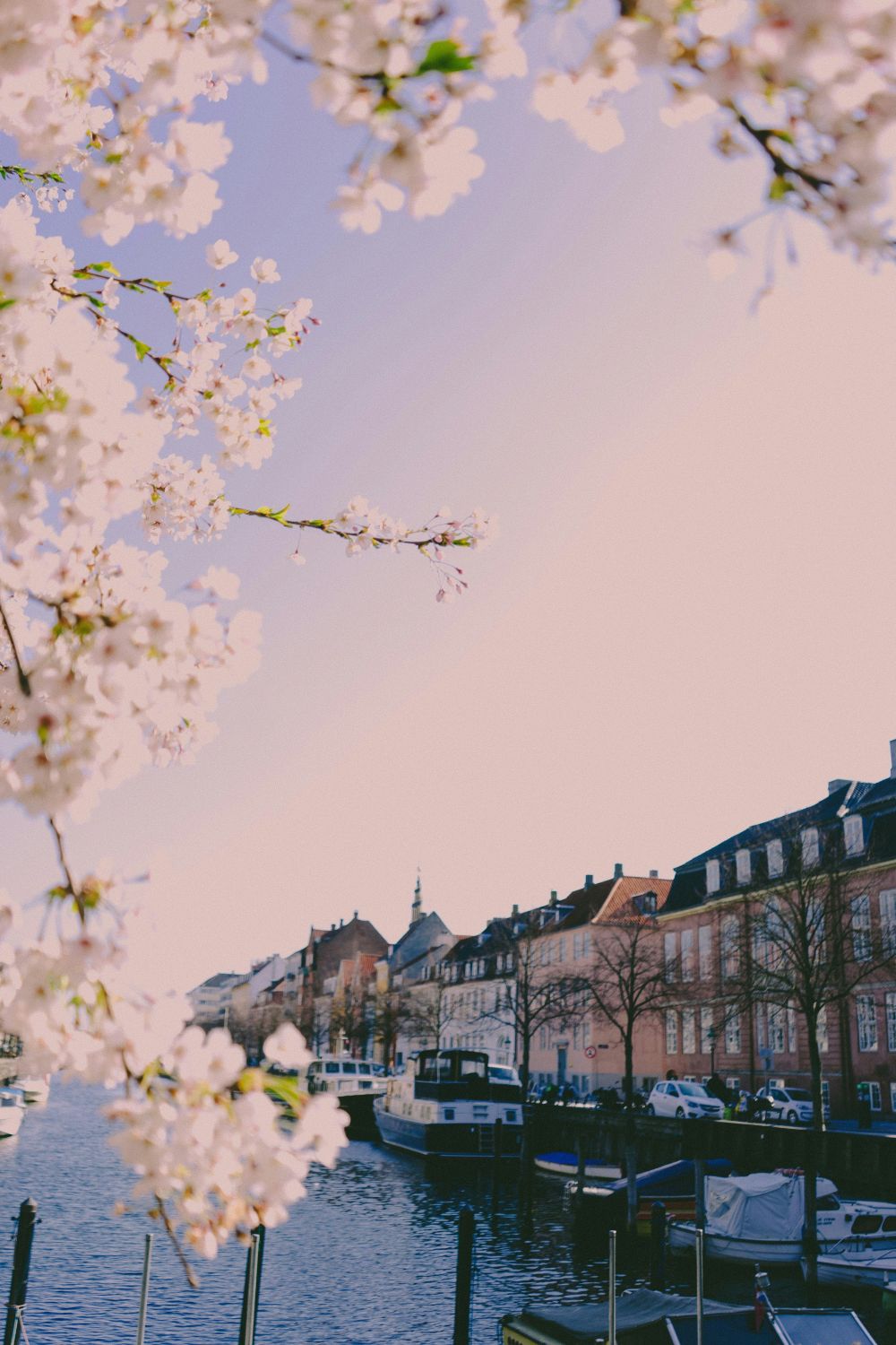 Glarmester København