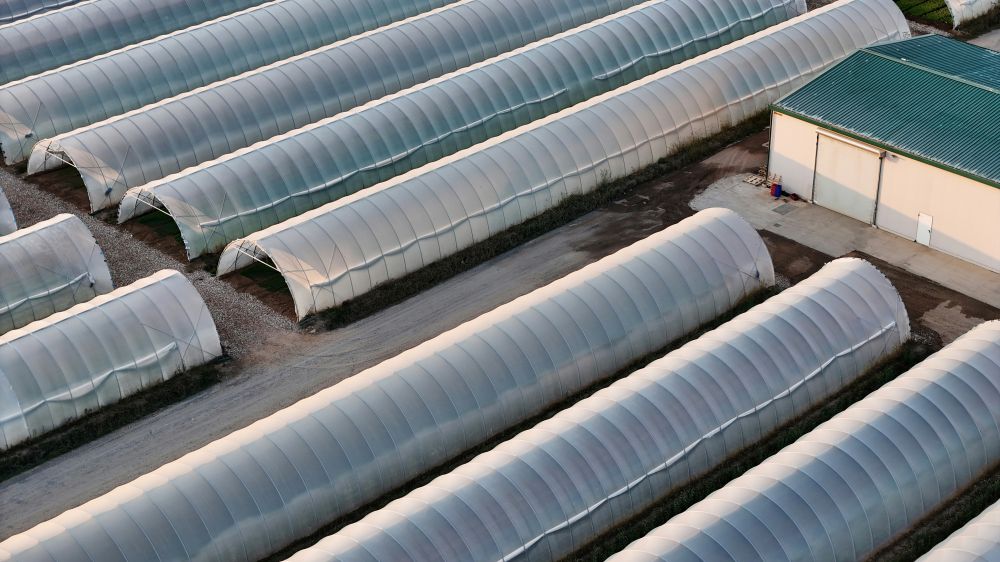 Fels&ouml;kning & Support