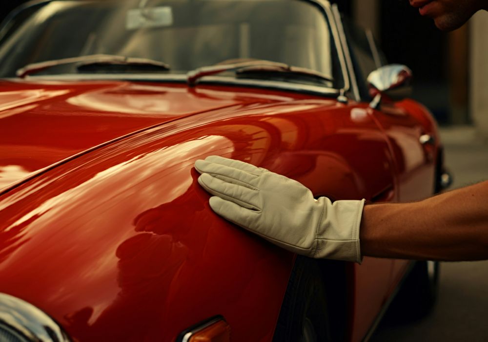 Reng&ouml;ring & Bilv&aring;rd