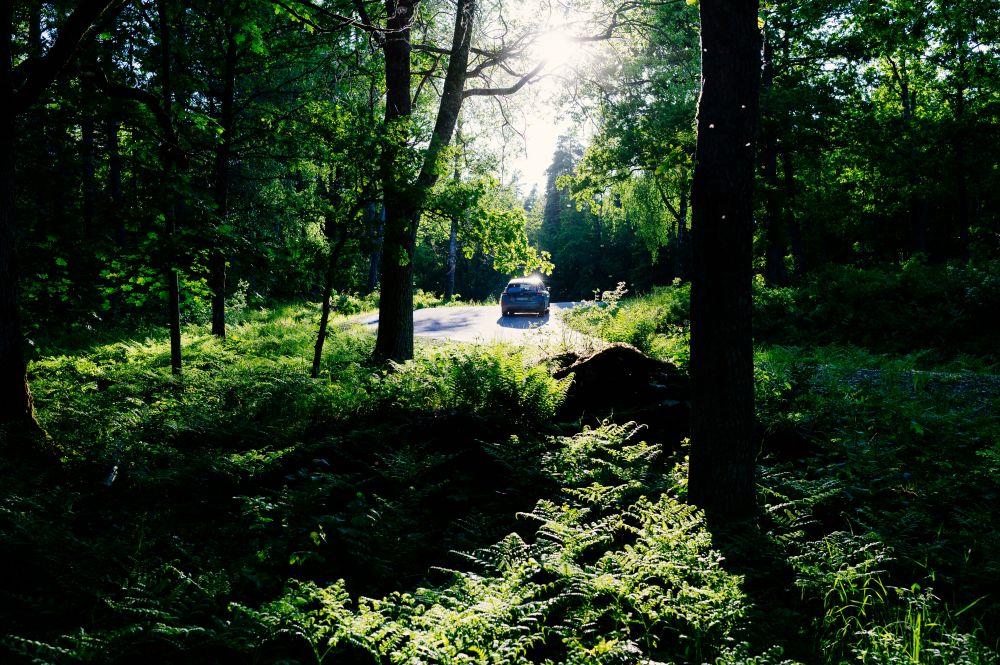 S&auml;songsf&ouml;rberedelser & Klimatanpassning