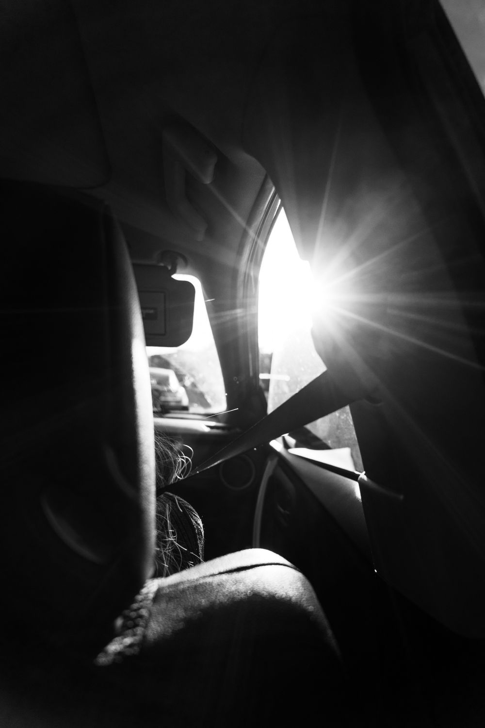 S&auml;songsf&ouml;rberedelser & Klimatanpassning