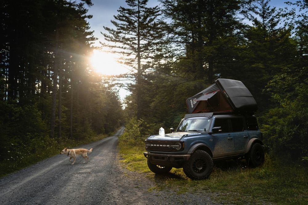 Resor & Roadtrips