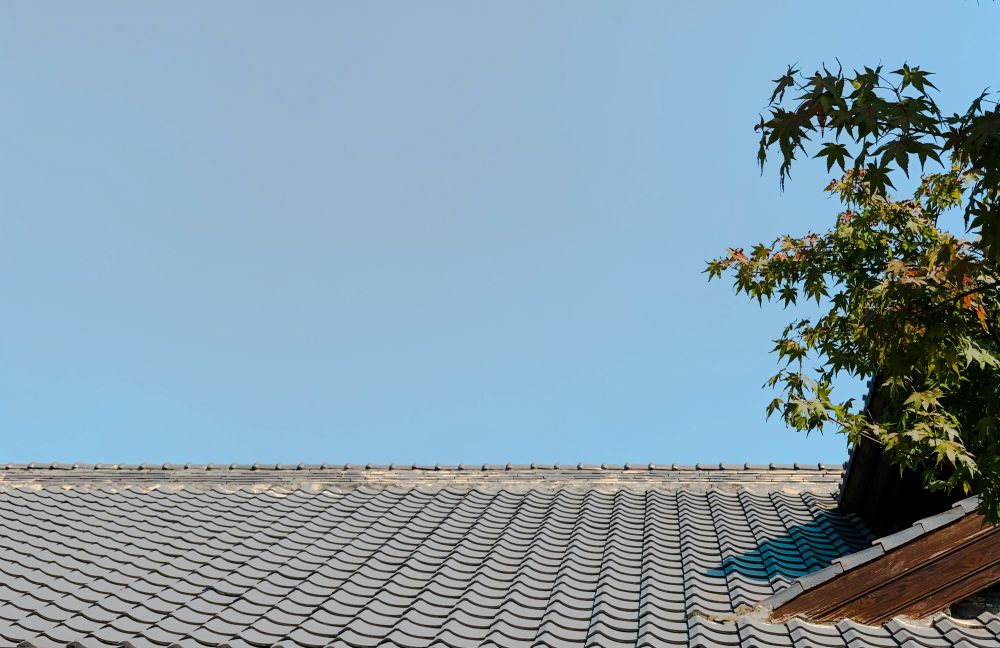 byggesagkyndig Haderslev