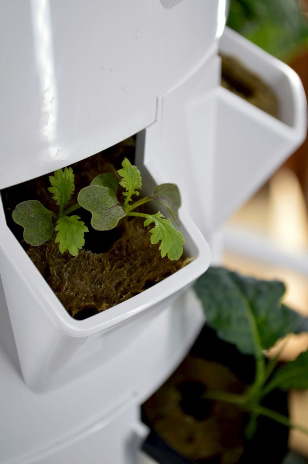 DIY & Makerprojekt