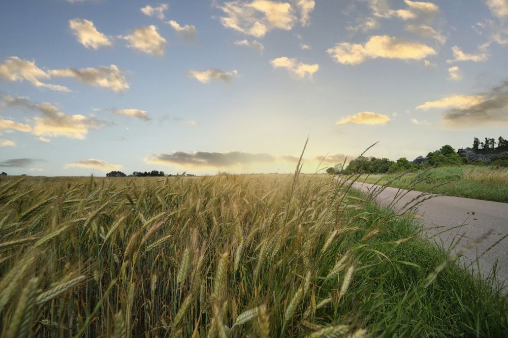 Miljö & Hållbarhet