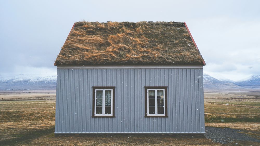 Grønne tage