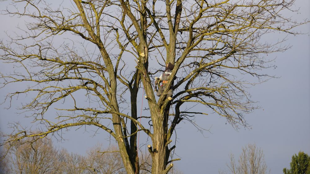 topkapning hillerød