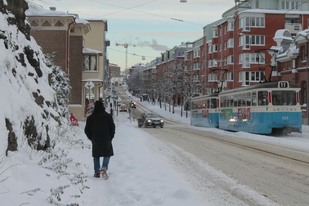 S&auml;songsf&ouml;rberedelser & Klimatanpassning