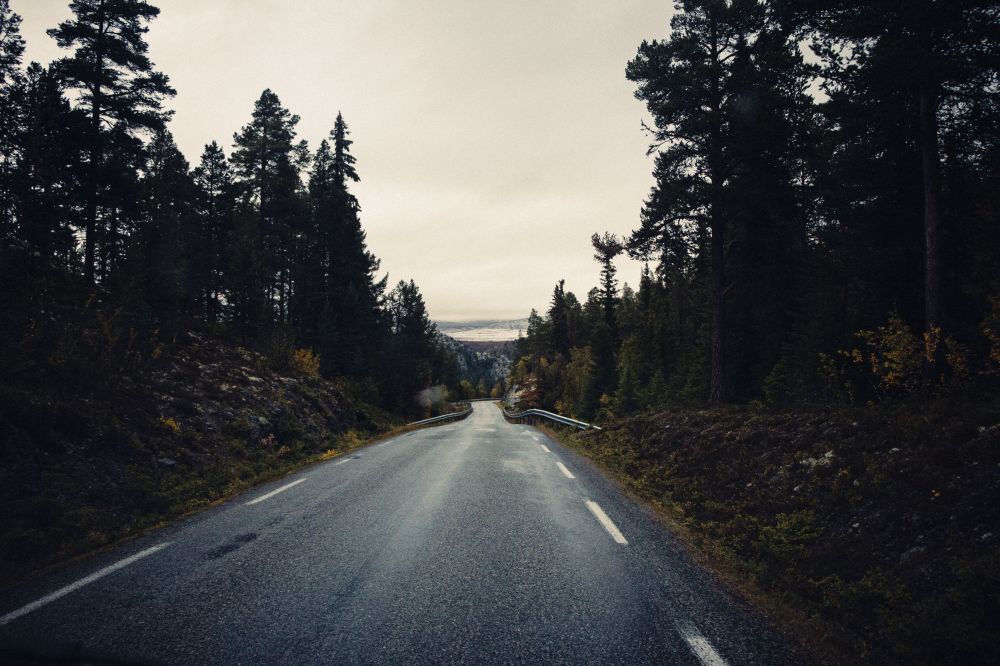 Milj&ouml; & H&aring;llbarhet