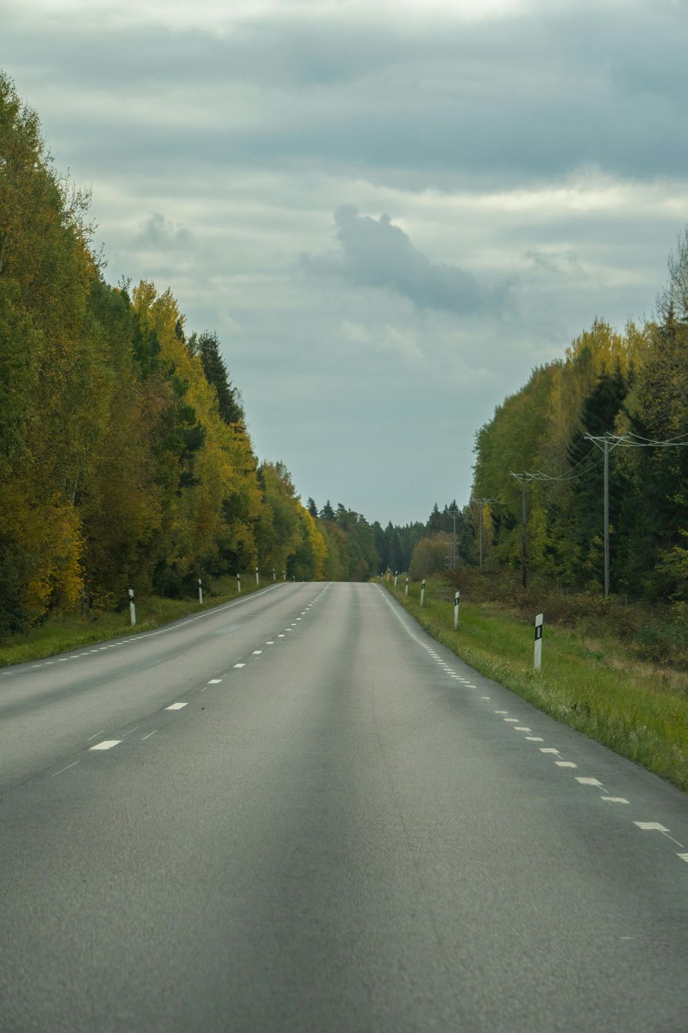 S&auml;songsf&ouml;rberedelser & Klimatanpassning