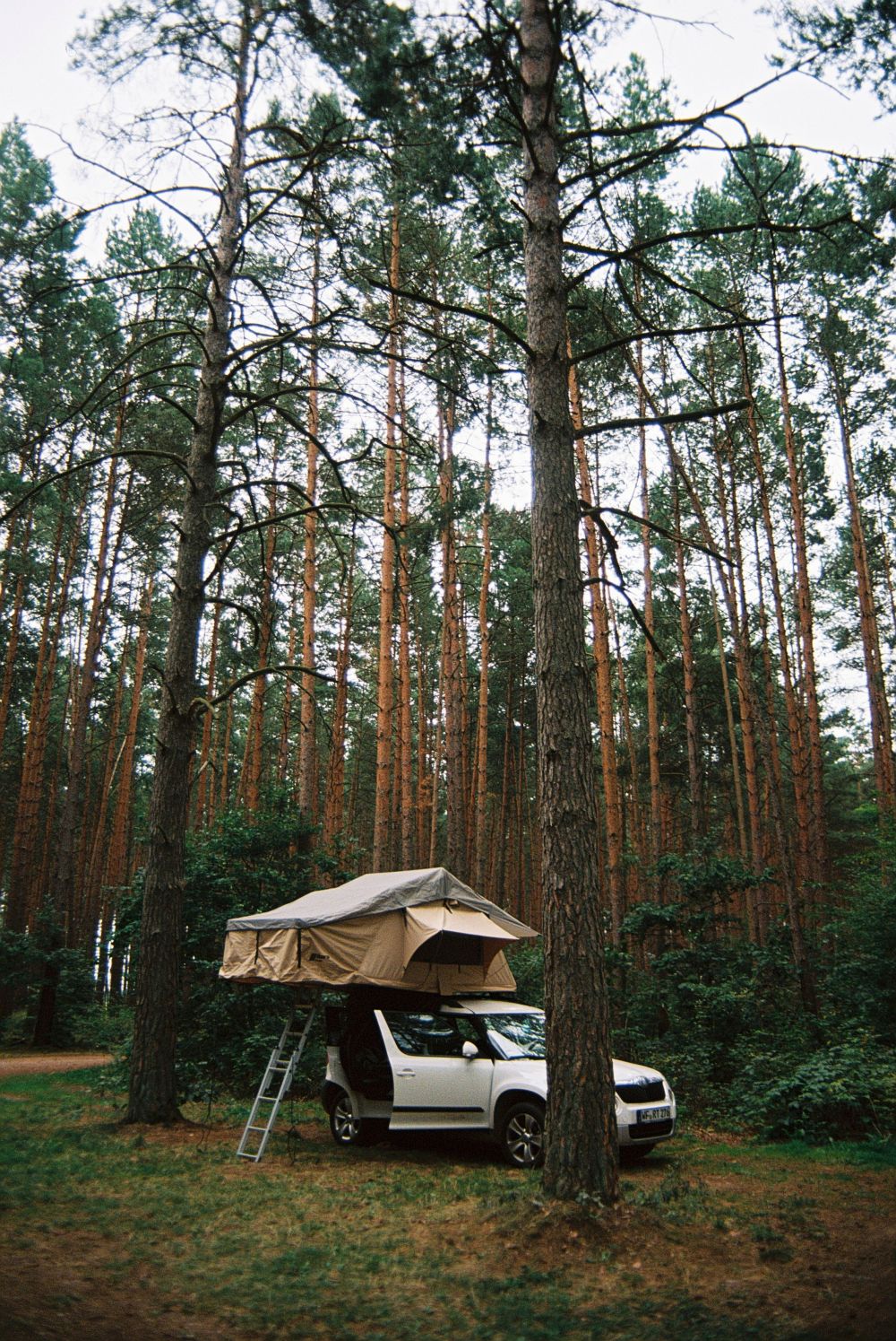 Resor & Roadtrips