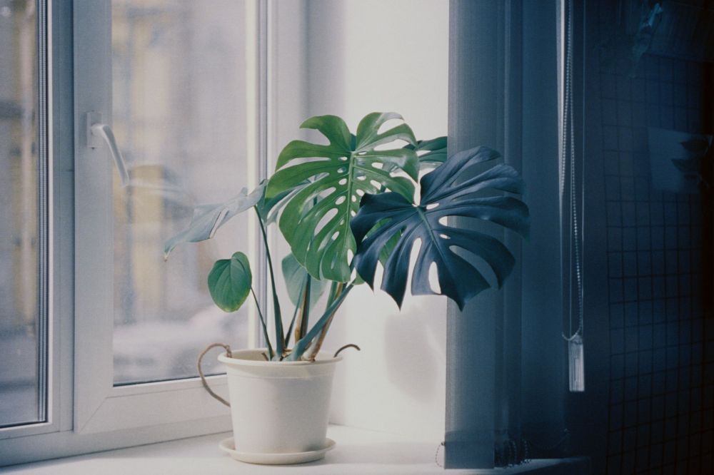 DIY & Makerprojekt