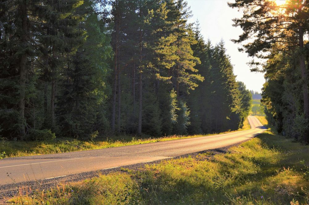 S&auml;songsf&ouml;rberedelser & Klimatanpassning