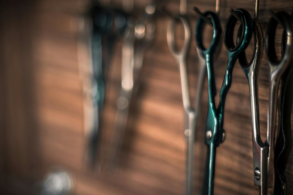 Alligator Shears