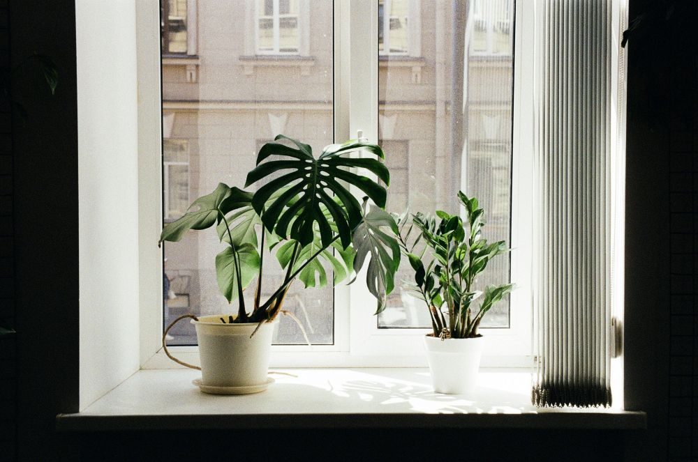 DIY & Makerprojekt