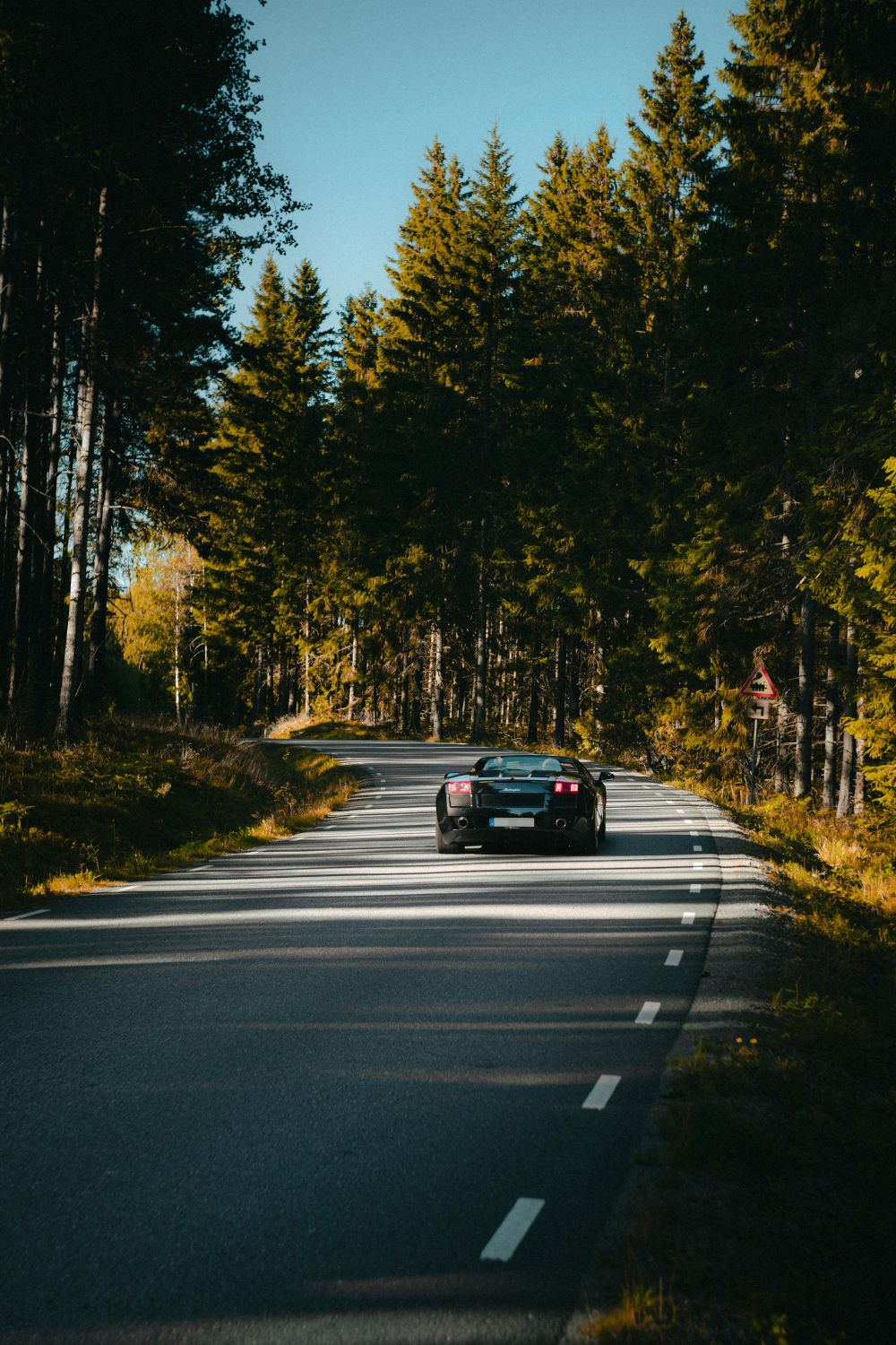 S&auml;songsf&ouml;rberedelser & Klimatanpassning