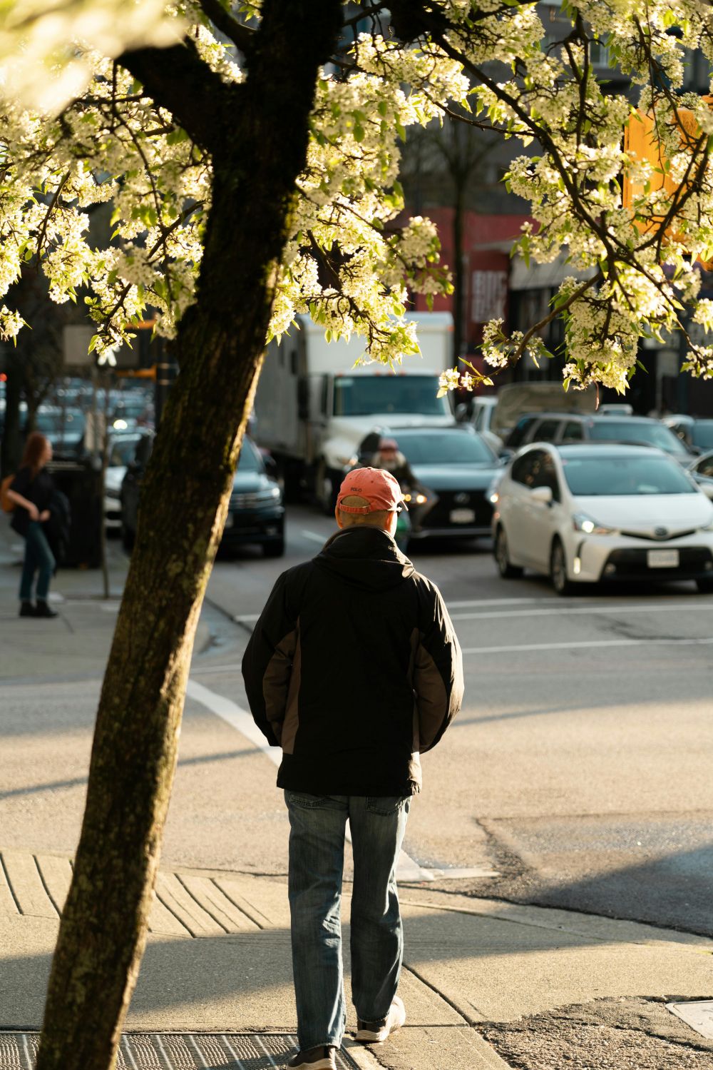 S&auml;songsf&ouml;rberedelser & Klimatanpassning