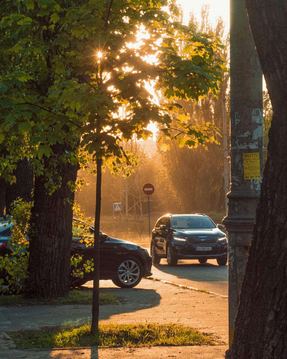 S&auml;songsf&ouml;rberedelser & Klimatanpassning