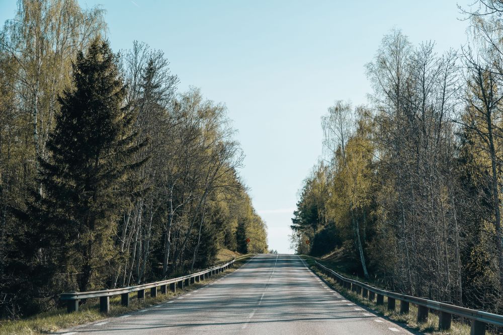 S&auml;songsf&ouml;rberedelser & Klimatanpassning