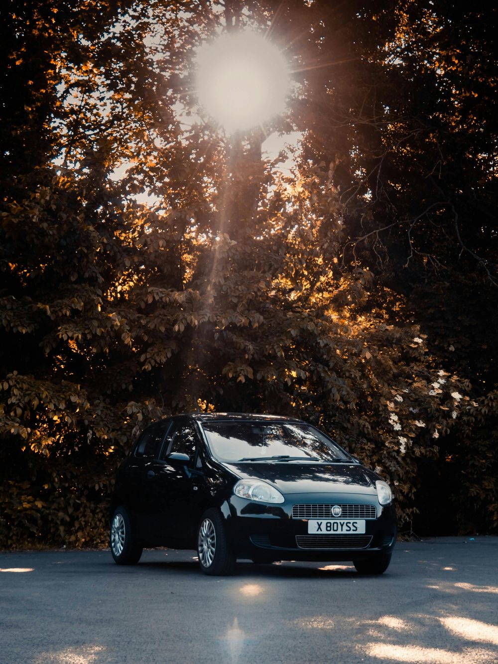 S&auml;songsf&ouml;rberedelser & Klimatanpassning