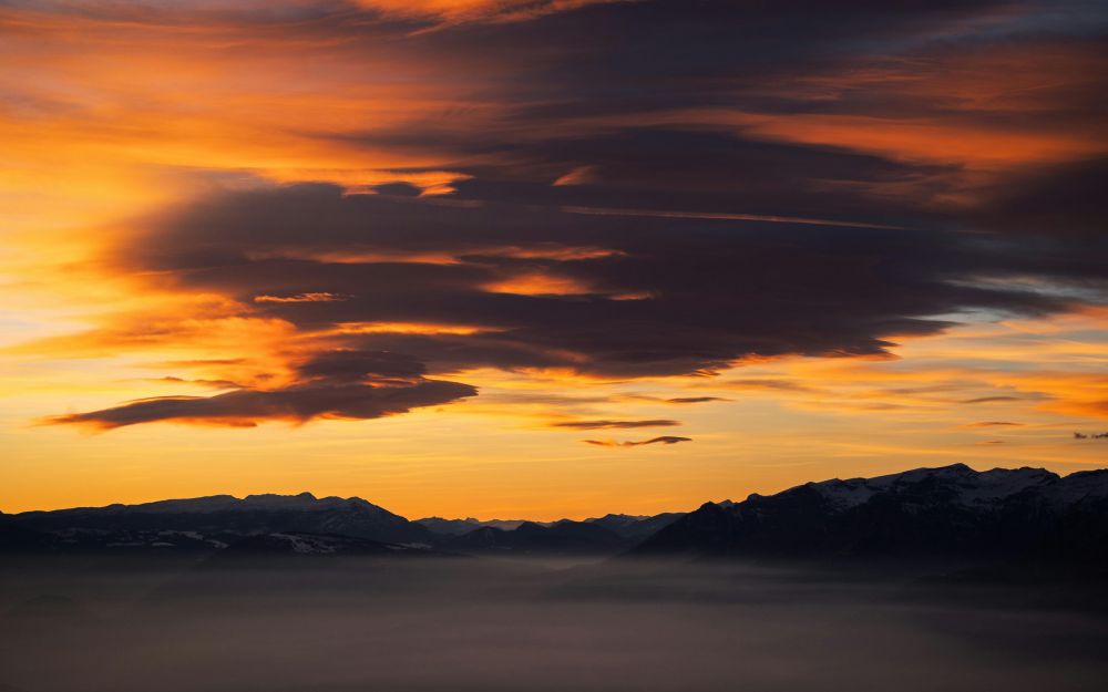 Painter j&ouml;nk&ouml;ping