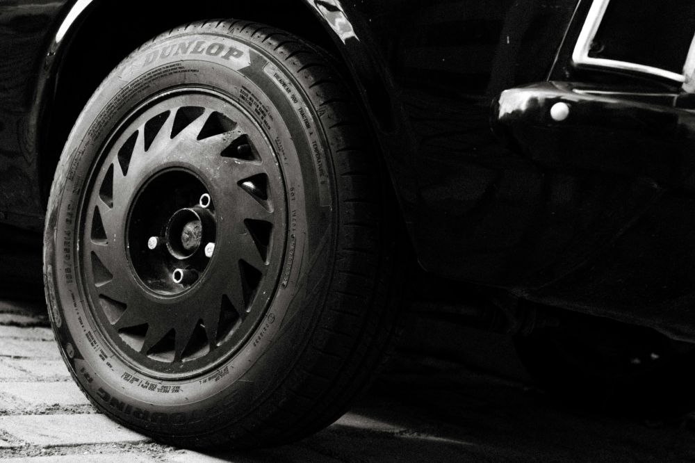 D&auml;ck, fj&auml;dring & v&auml;xell&aring;da