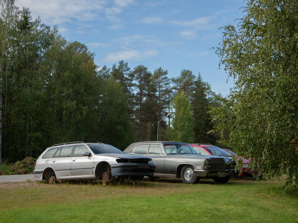 S&auml;songsf&ouml;rberedelser & Klimatanpassning