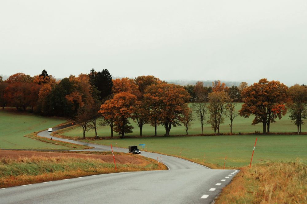 D&auml;ck, fj&auml;dring & v&auml;xell&aring;da
