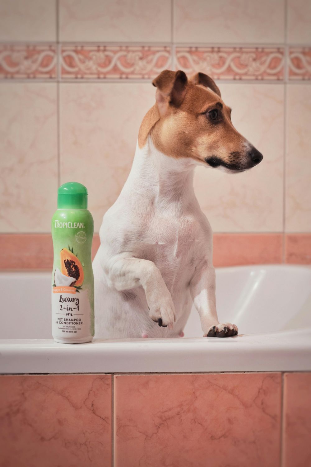 Oribe shampoo